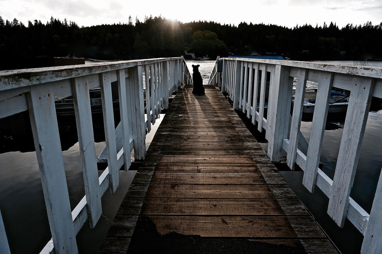 Kingfisher Lodge & Marina Salmon Beach Exterior foto